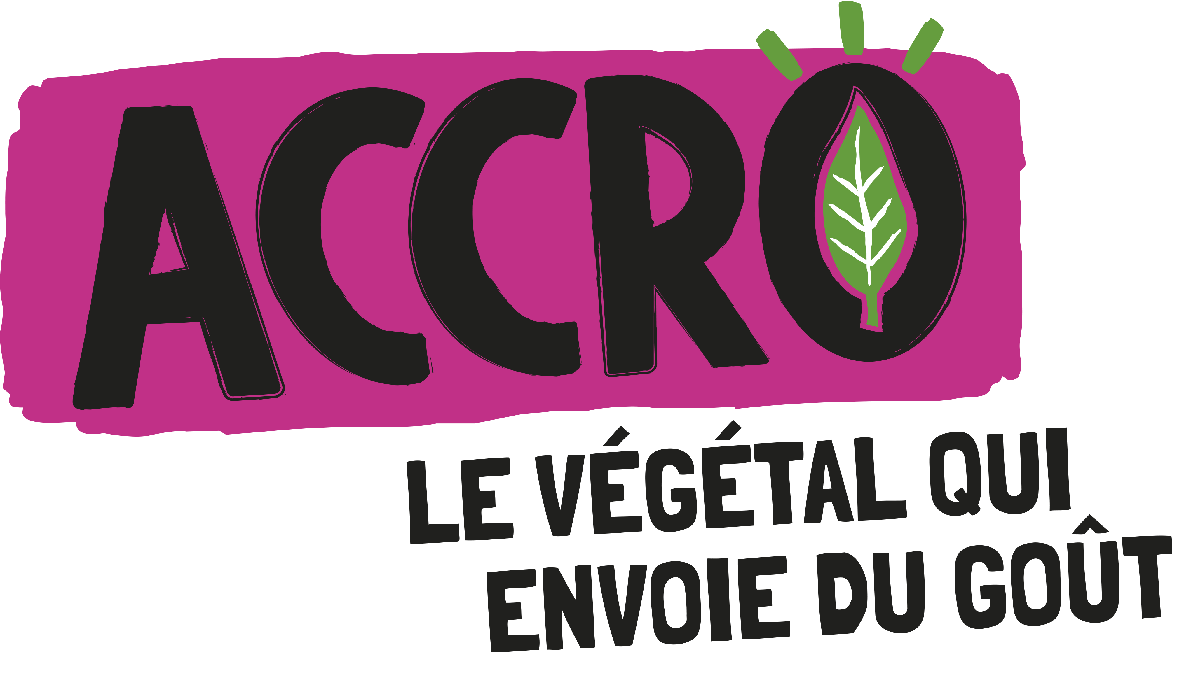 (c) Accro.fr
